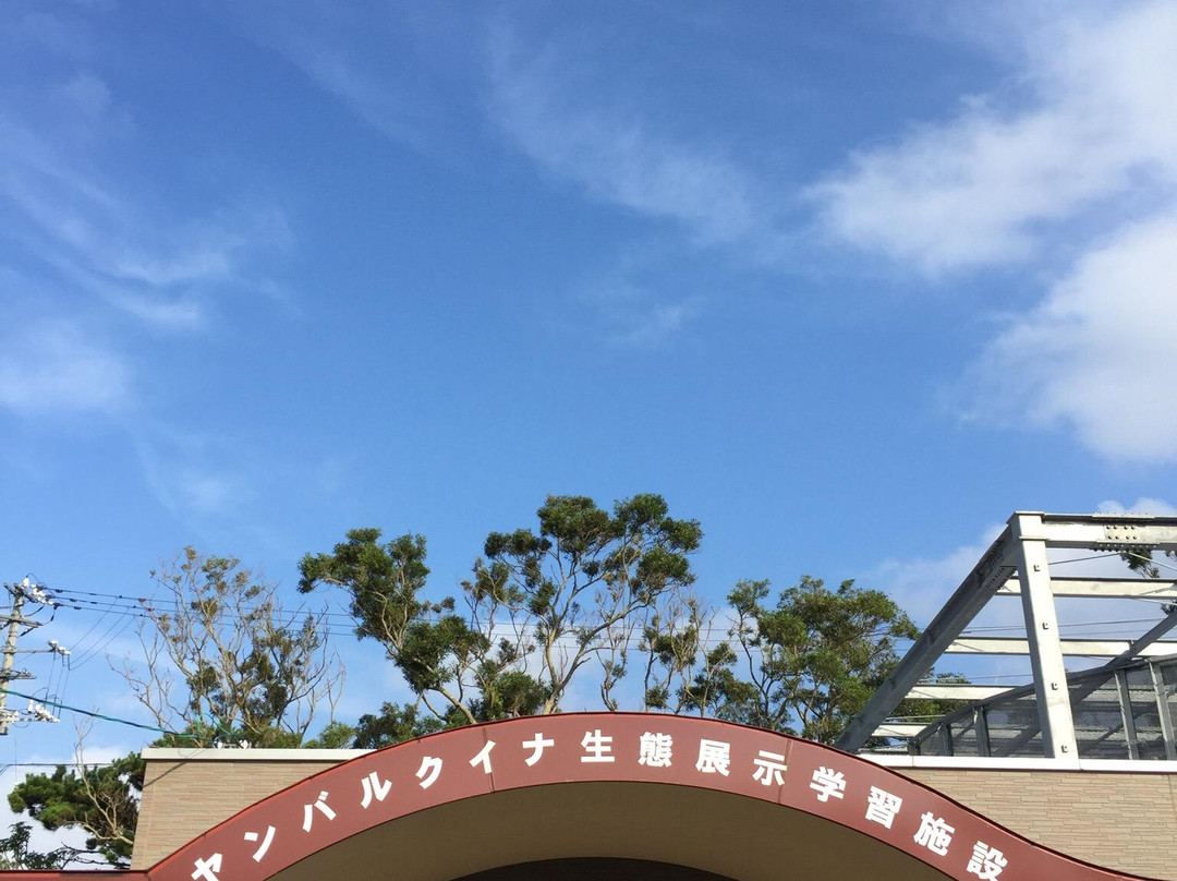 Gallirallus Okinawae Learning Center景点图片