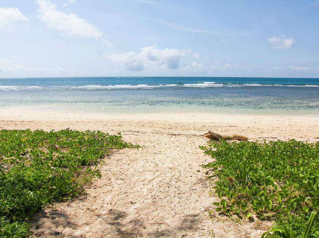 Wasini Island旅游攻略图片