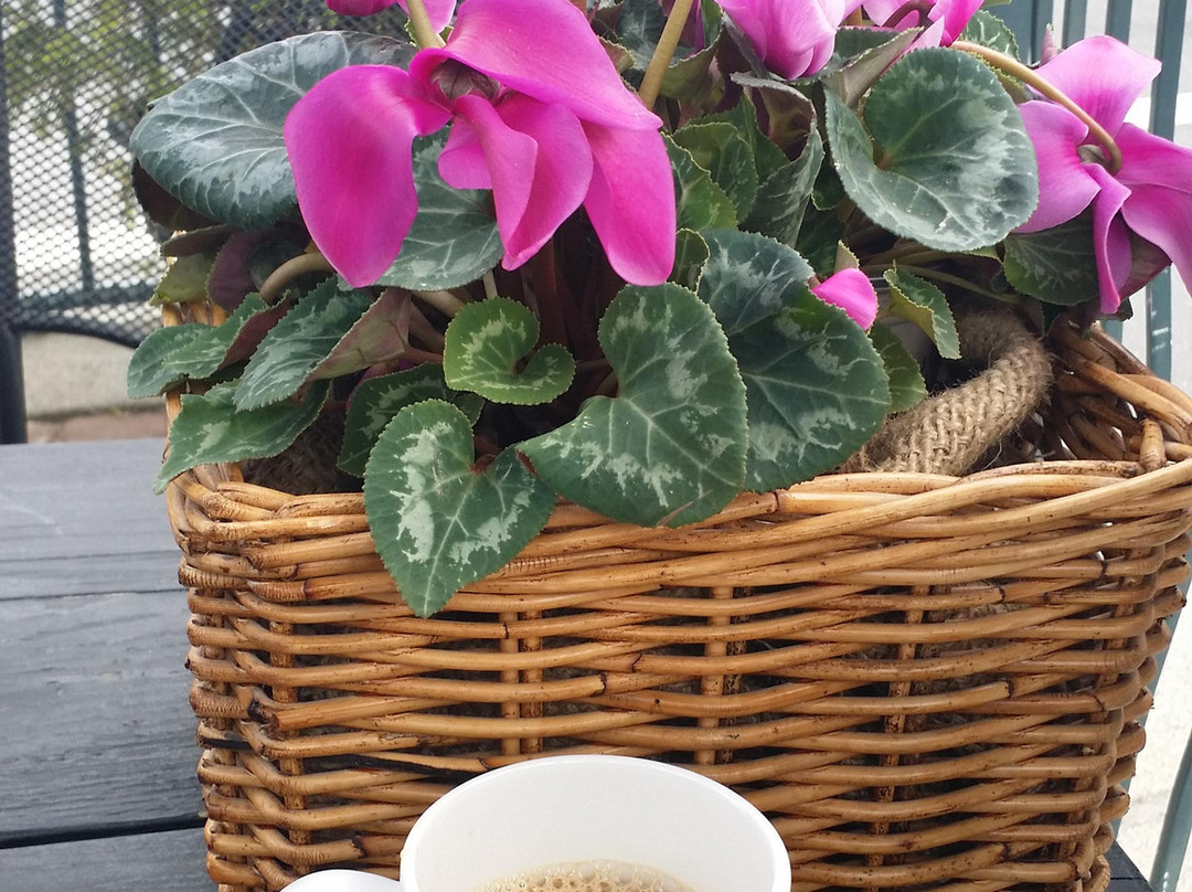 Catch Our Drift - Taste of The Landing-吉布森斯必去景点