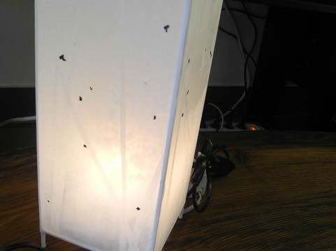 Jonginamoo Gallery-首尔必去景点