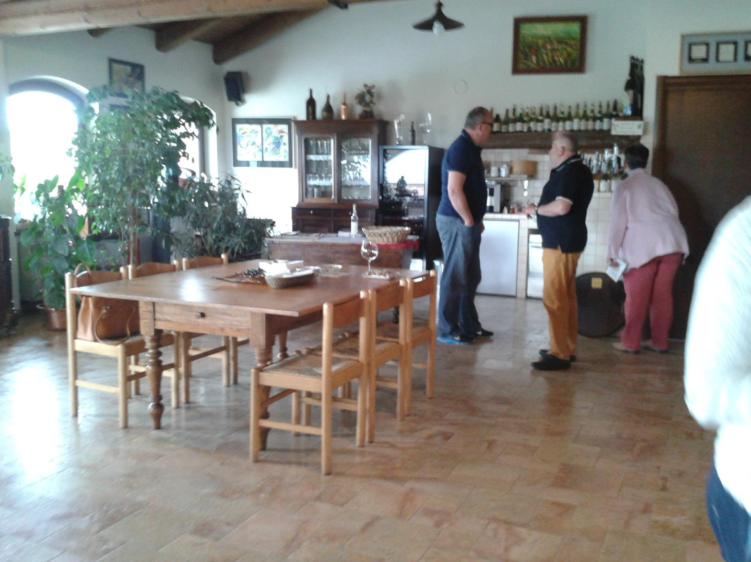 Azienda Agricola Elio Altare-拉莫拉必去景点