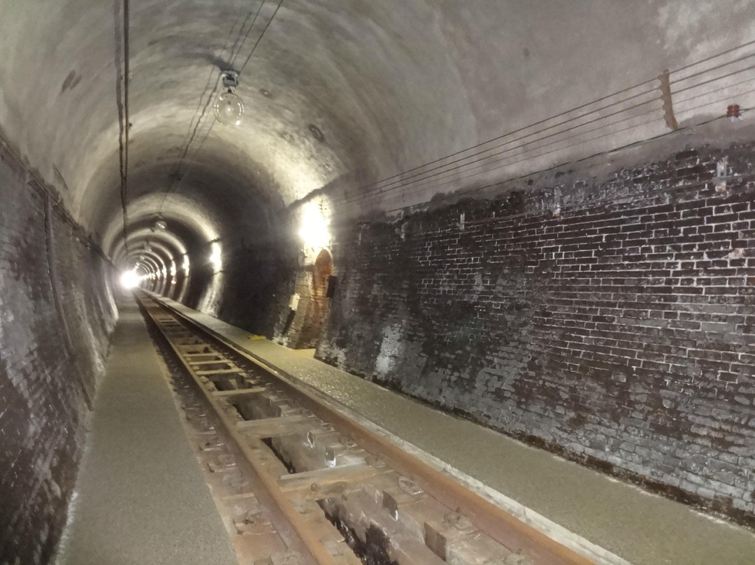 Ohikage Tunnel Walkway景点图片