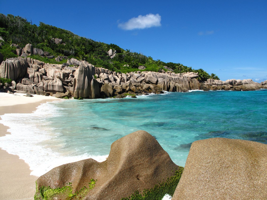 La Réunion酒店住宿-Bernique Guesthouse