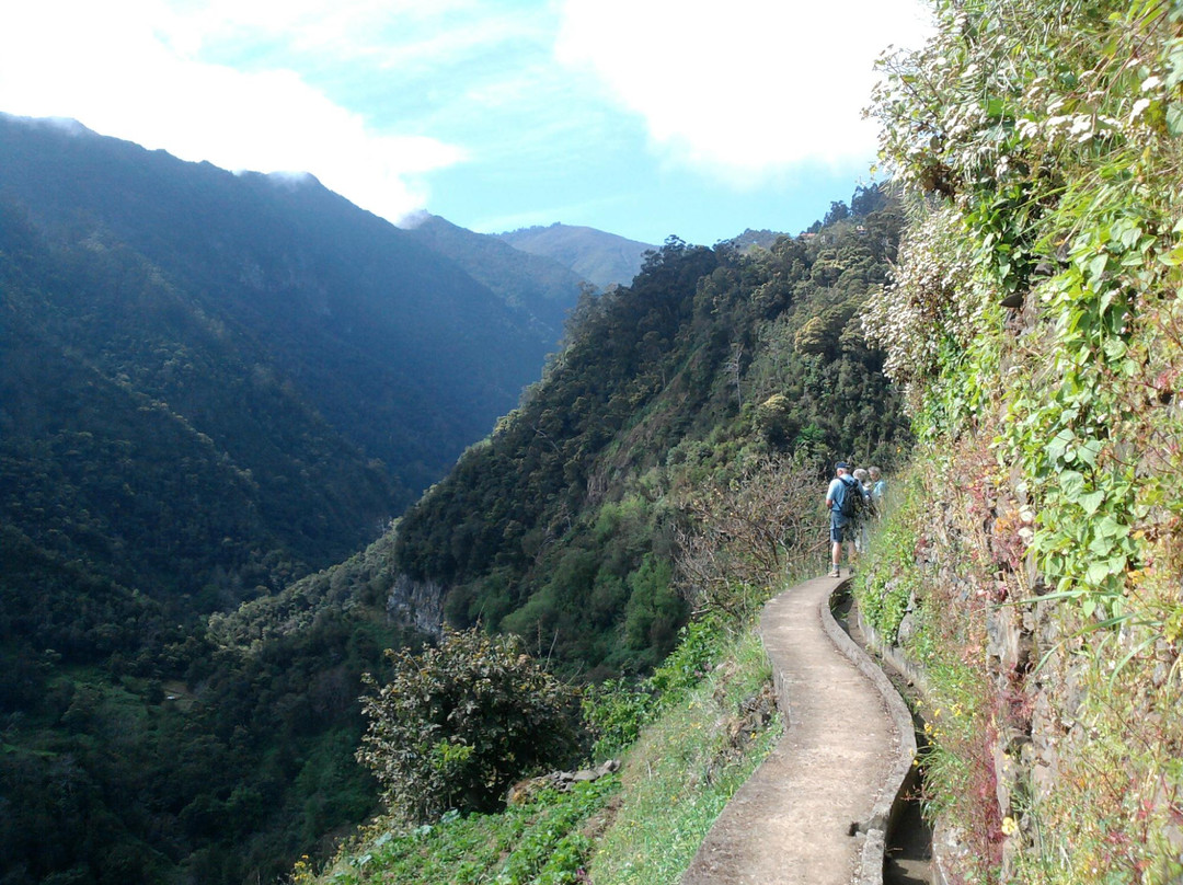 Levada do Castelejo景点图片