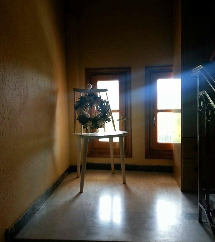 Chrysoula's Guests主图