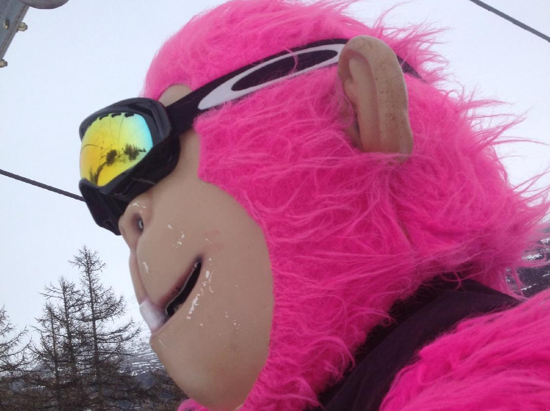 Ski Expérience-Saint-Chaffrey必去景点