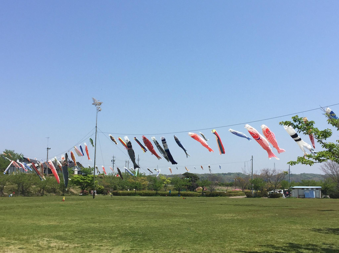 Kowaki Park-常滑市必去景点