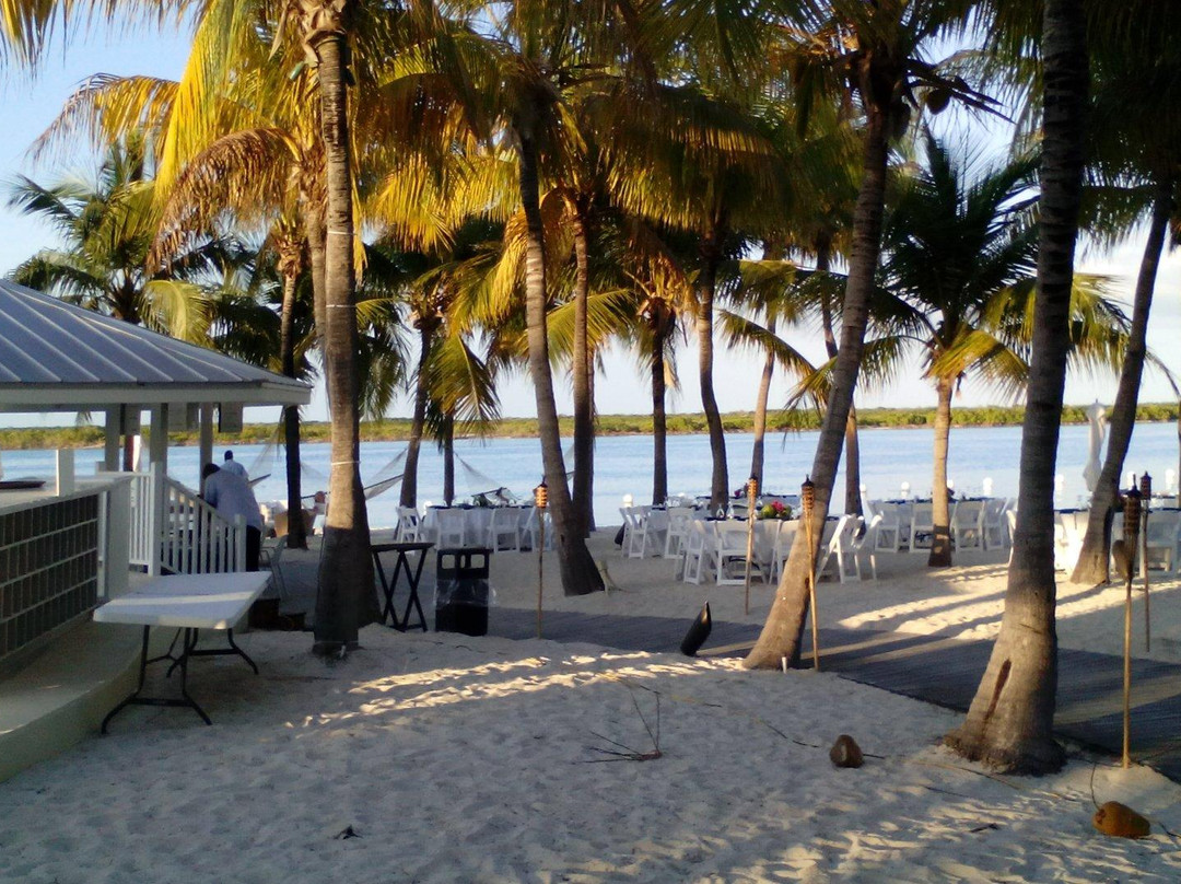 Sand & Sea Tours-普罗维登西亚莱斯必去景点