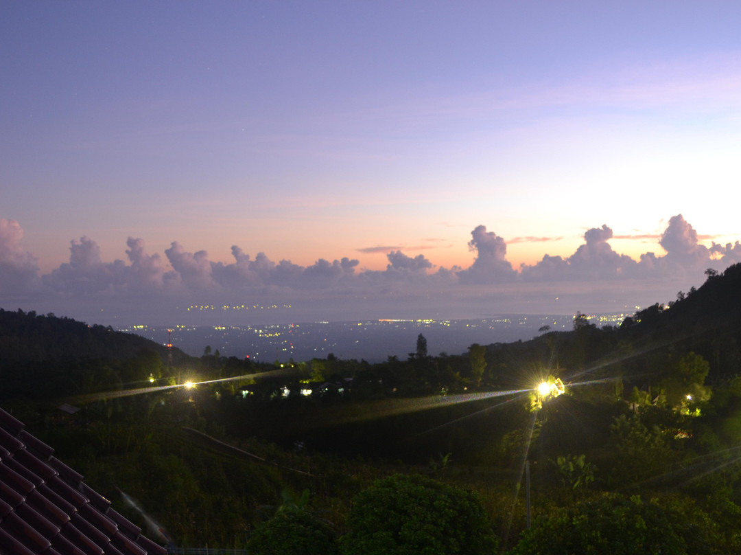 Istana Petani Homestay主图