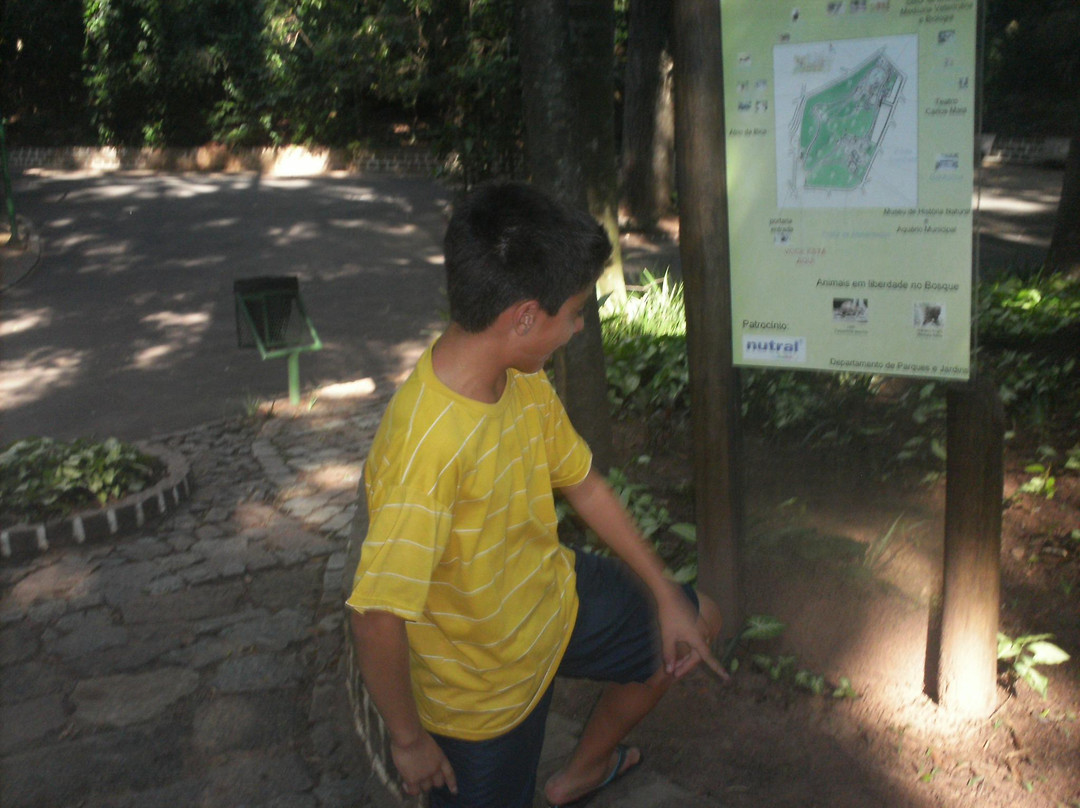 Bosque dos Jequitibás-坎皮纳斯必去景点