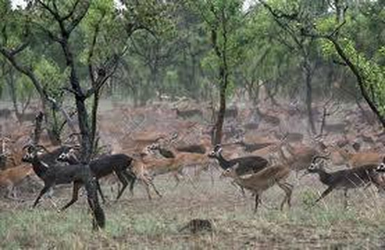 Bahr El Jebel Safaris - Day Tours-Juba必去景点