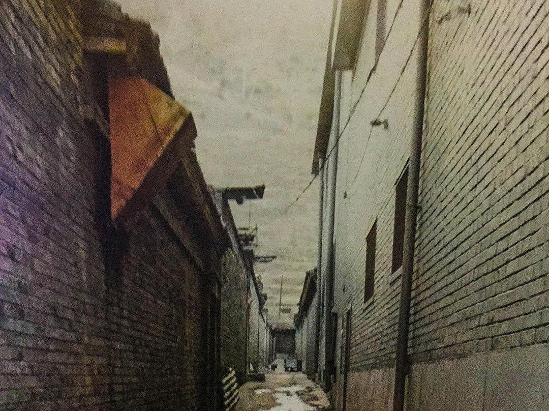 五台山生态园主图