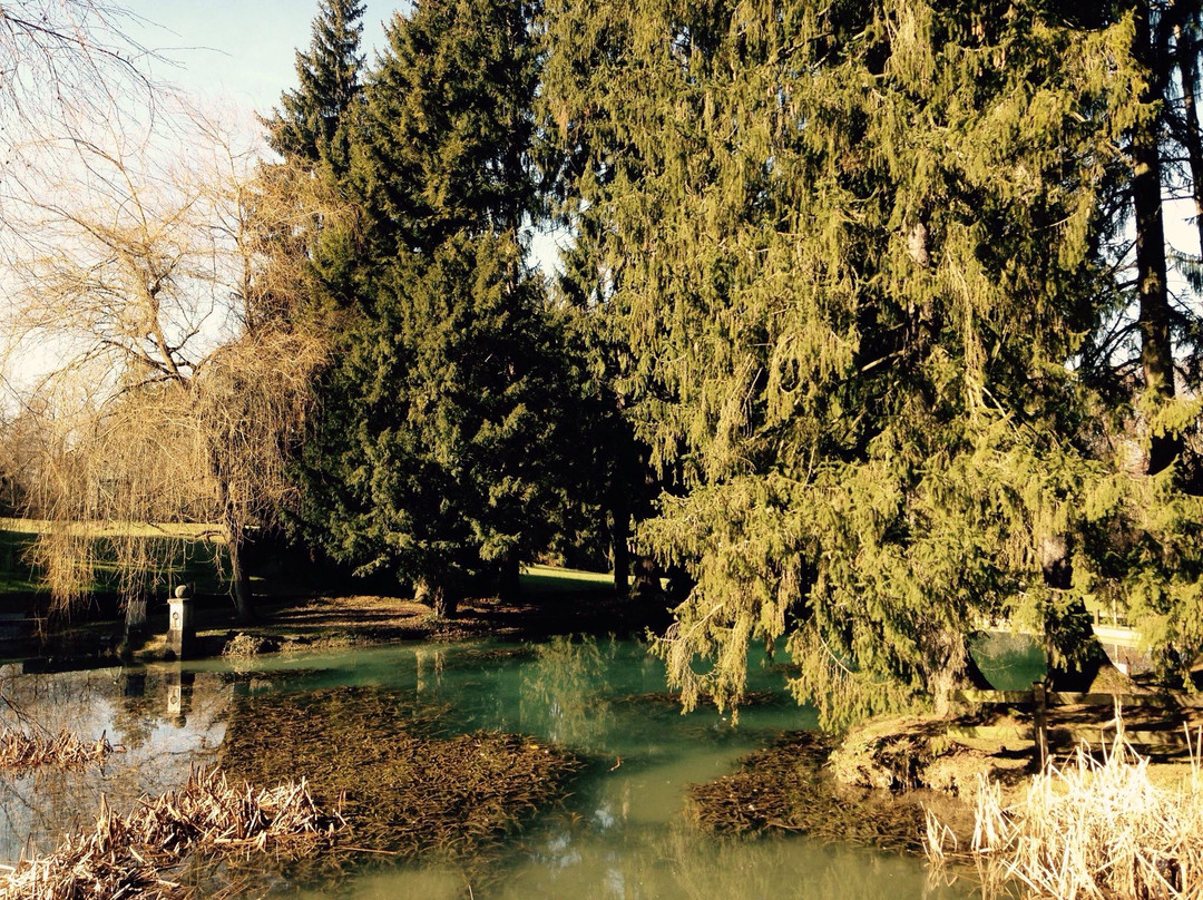Riehen旅游景点-Wenken Park