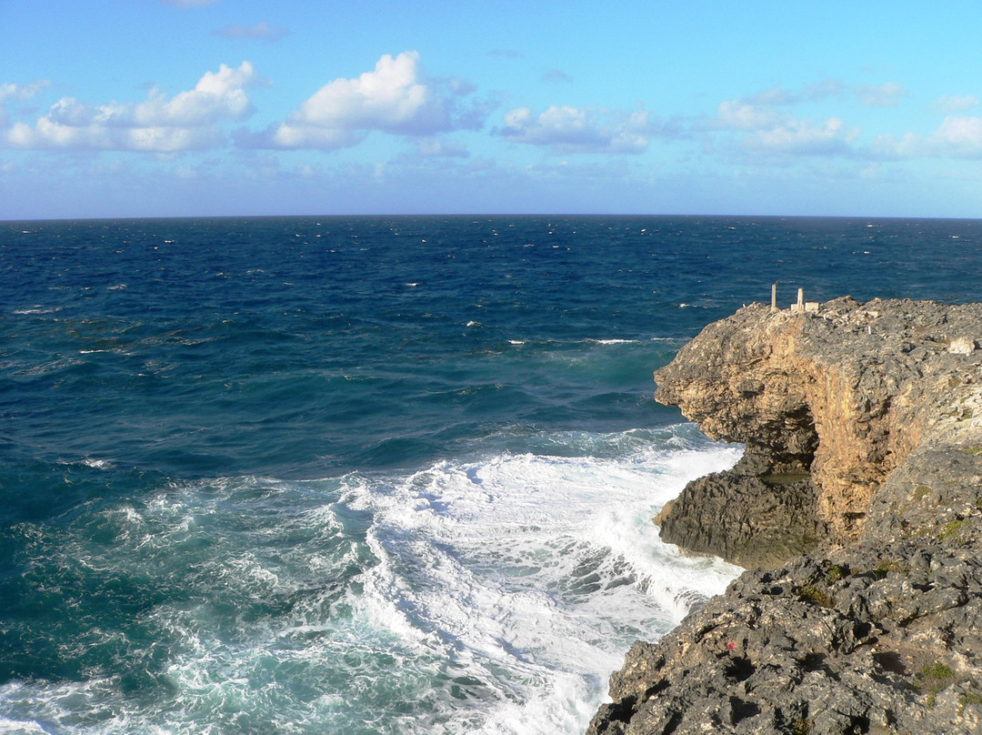 Animal Flower Cave-Saint Lucy Parish必去景点