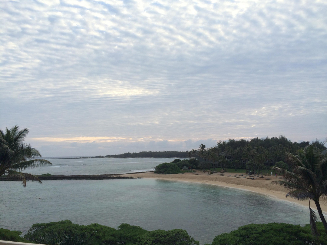 Turtle Bay Beach-卡胡库必去景点