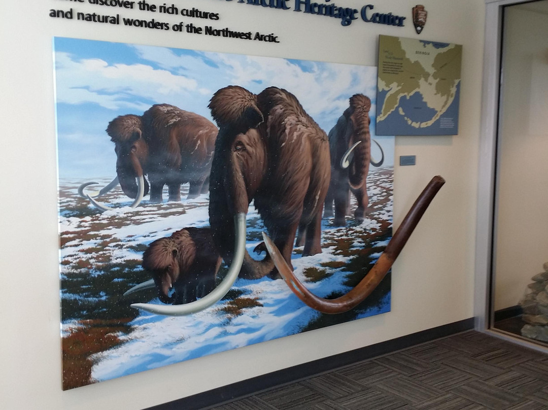 Northwest Arctic Heritage Center-Kotzebue必去景点