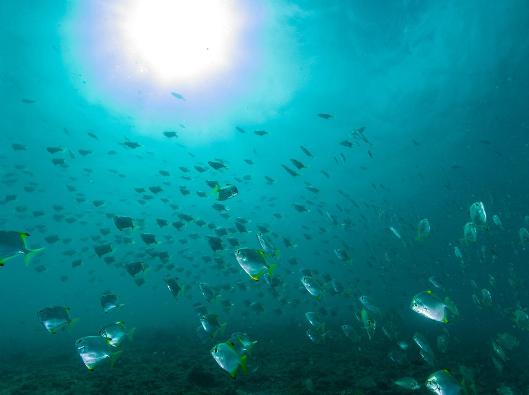 Getaway Sailing on the Gold Coast-Runaway Bay必去景点