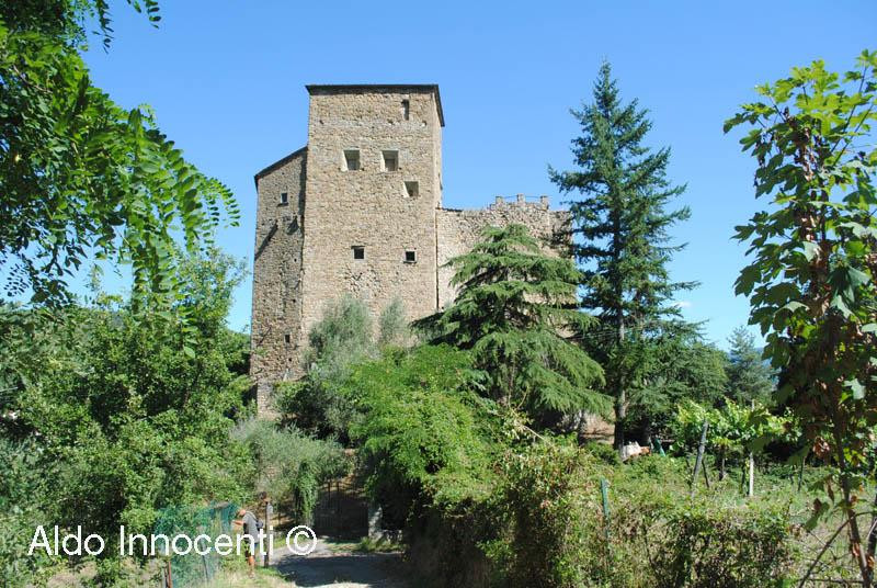 Museo della Pietra Lavorata, Castel San Niccolo, Arezzo景点图片