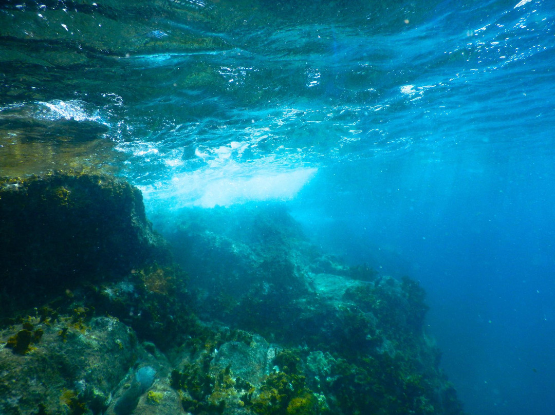 White Wing Sailing-Coral Bay必去景点