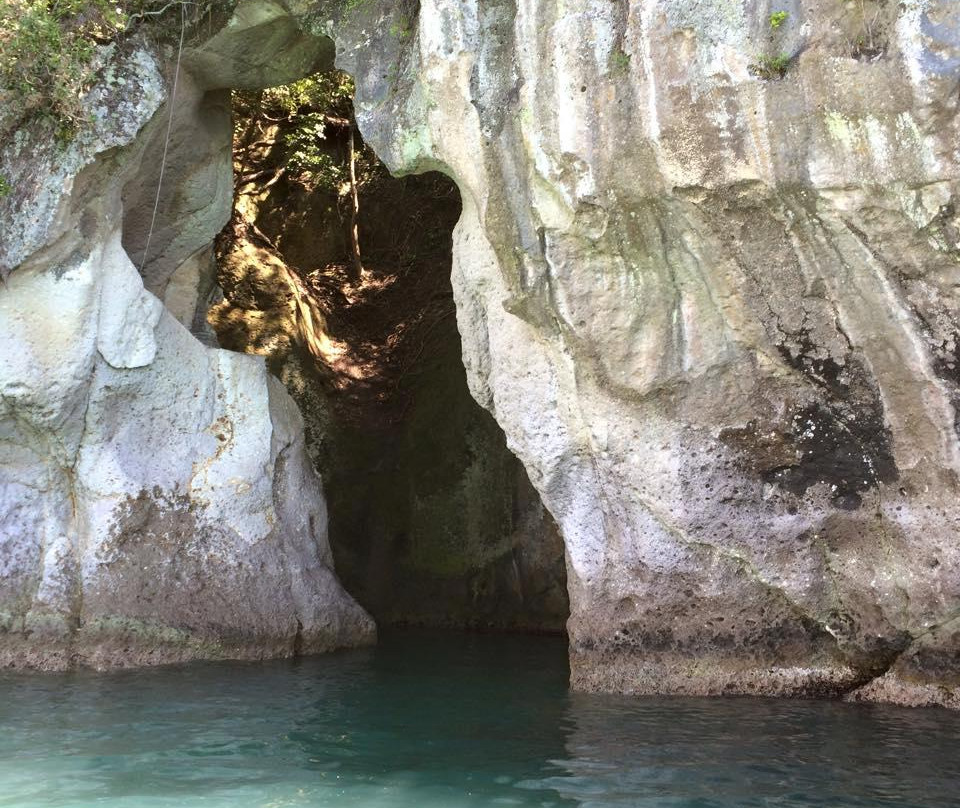 Ocean Leopard - Cathedral Cove Boat Tours-菲蒂昂格必去景点