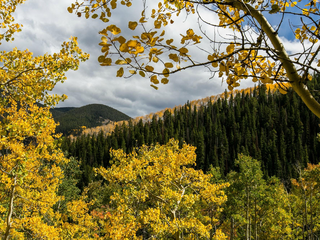American Lake Trail-阿斯蓬必去景点
