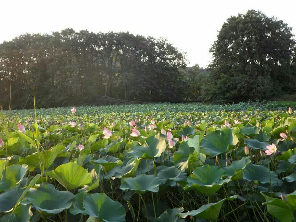 Soostan Lagoon景点图片