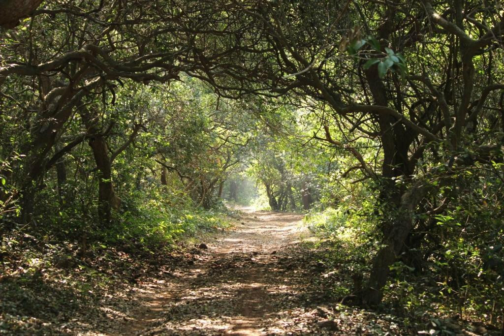 Phansad Bird Sanctuary景点图片