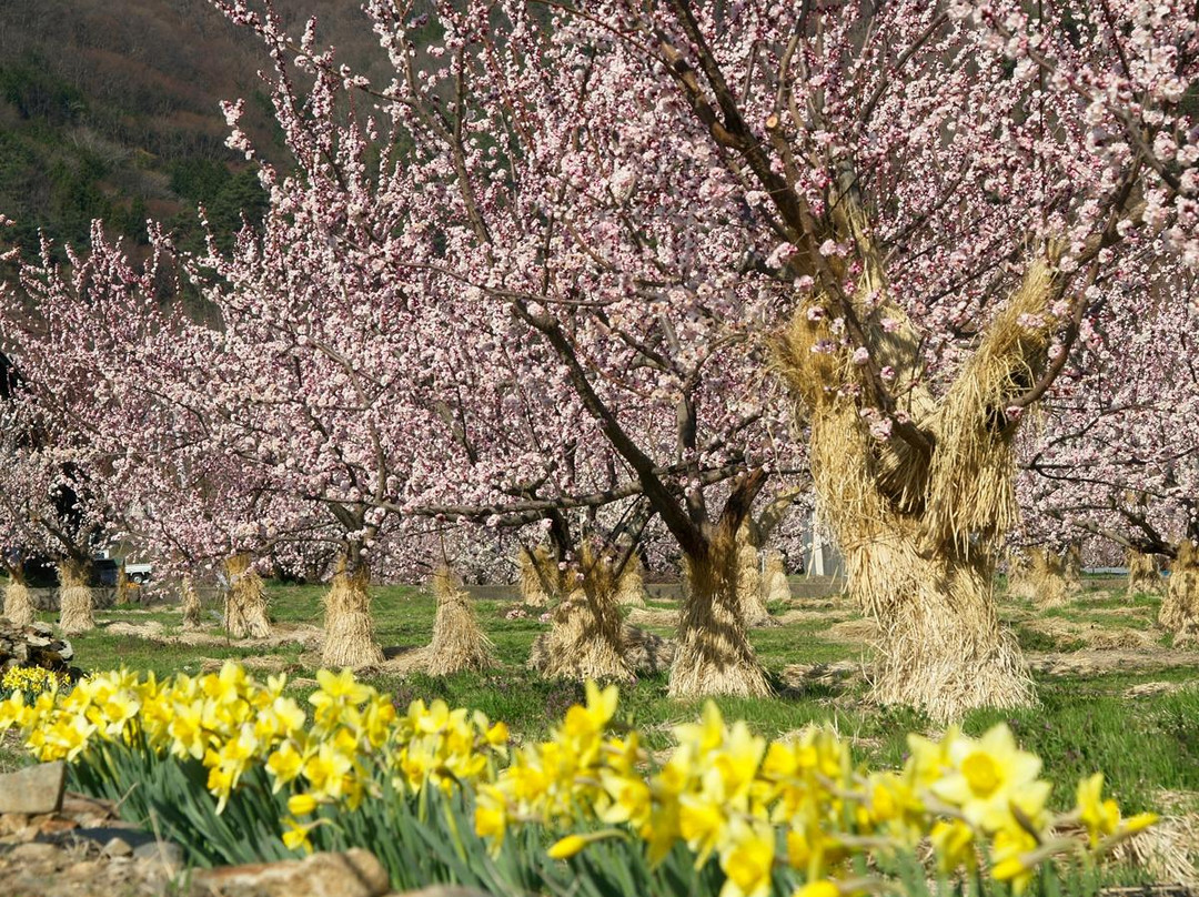 Anzu no Sato Tourist Center-千曲市必去景点