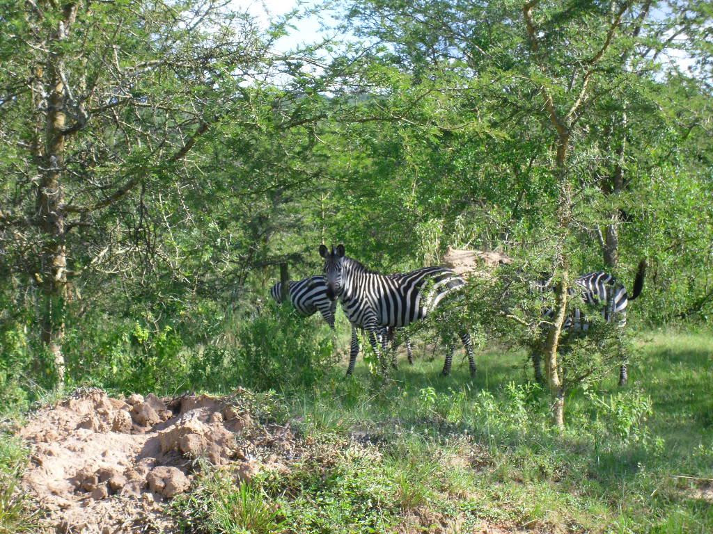 PearlAfric Tours & Travel-坎帕拉必去景点