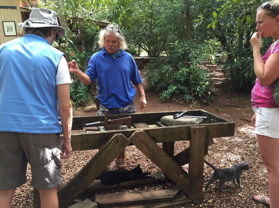 Purdy's All-Natural Macadamia Nut Farm-摩洛凯岛必去景点