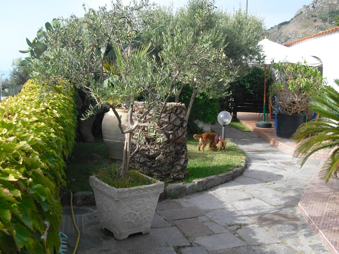 Appartamenti Casa Luongo