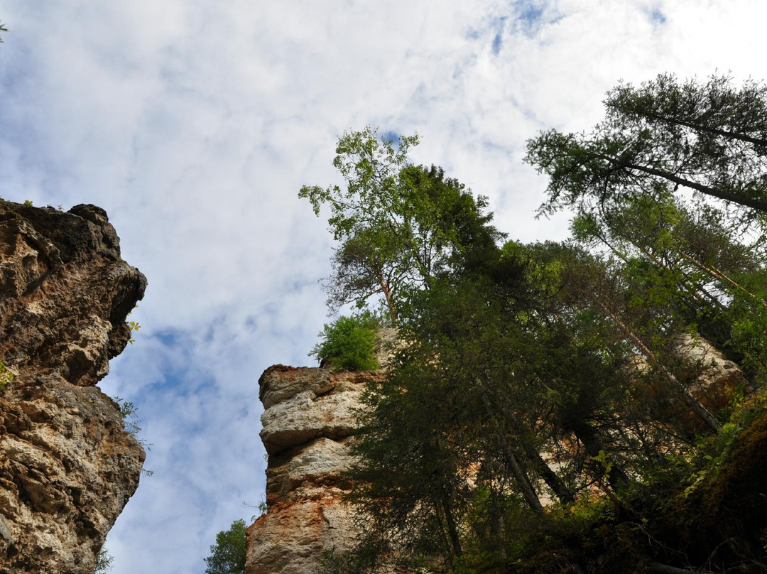 Pinezhsky Nature Reserve景点图片