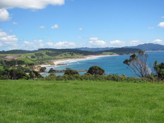 Tawharanui Regional Park-瓦卡沃夫必去景点
