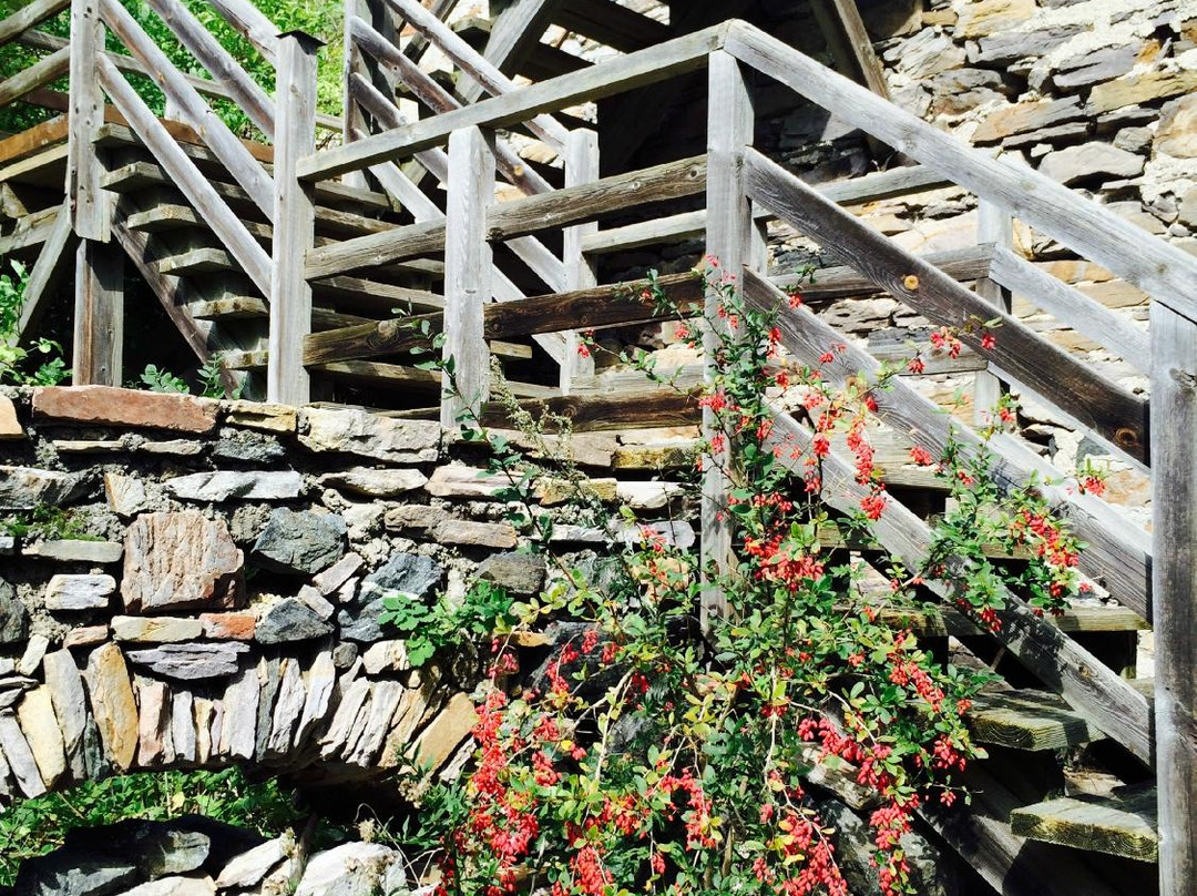 Ruine Schauenstein-下奥地利必去景点