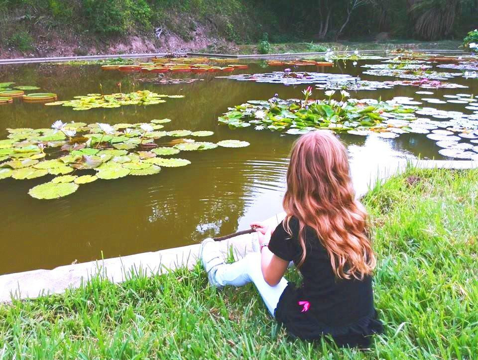 Jardín Botánico-加拉加斯必去景点
