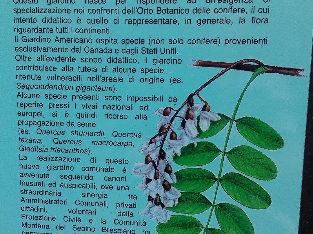 Orto Botanico delle Conifere景点图片