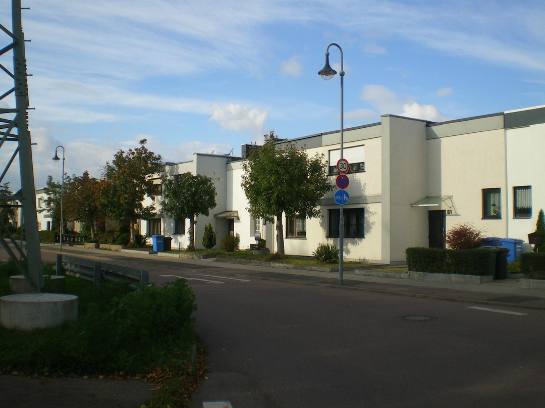 Bauhausiedlung Toerten景点图片