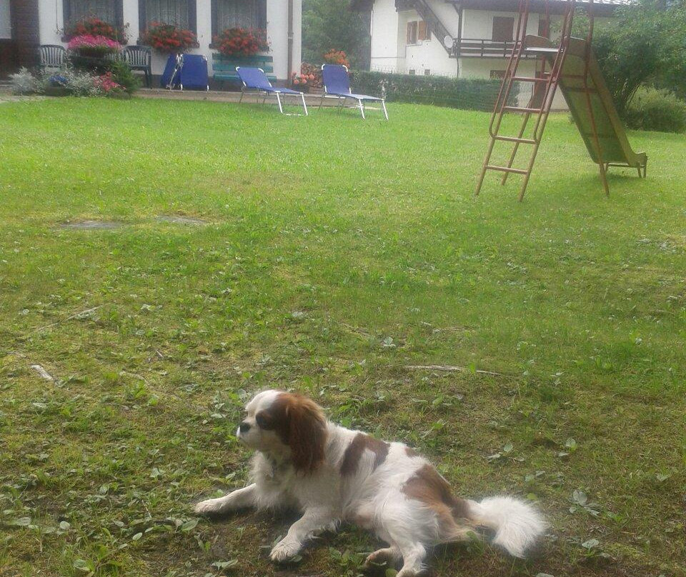 Residence Nigritella主图