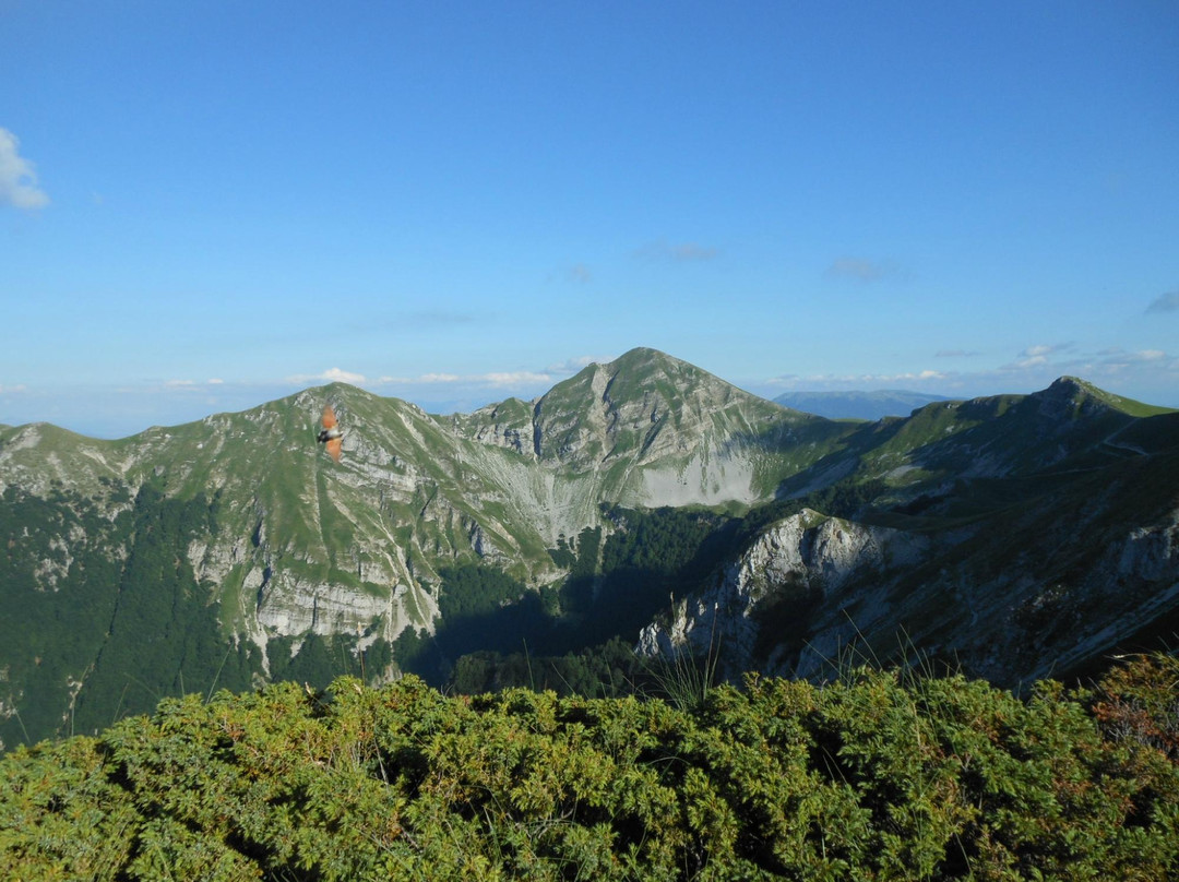 Monte Terminillo景点图片