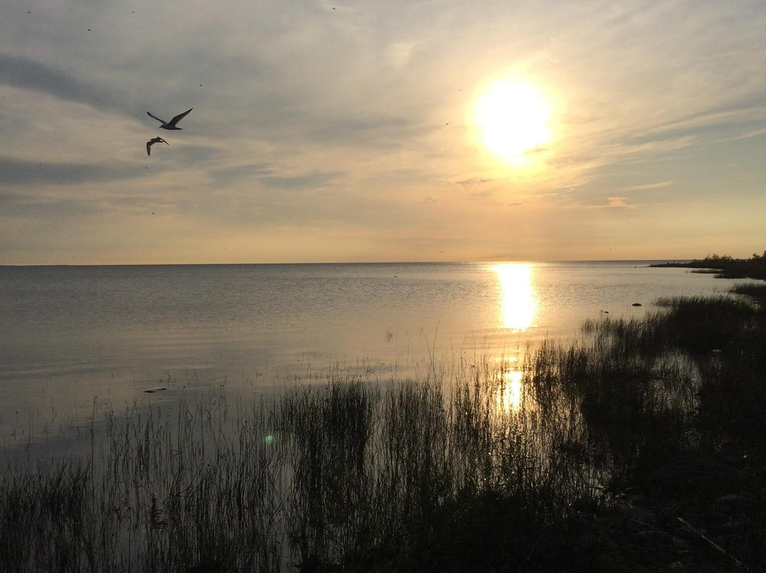 Headlands International Dark Sky Park-麦基诺城必去景点