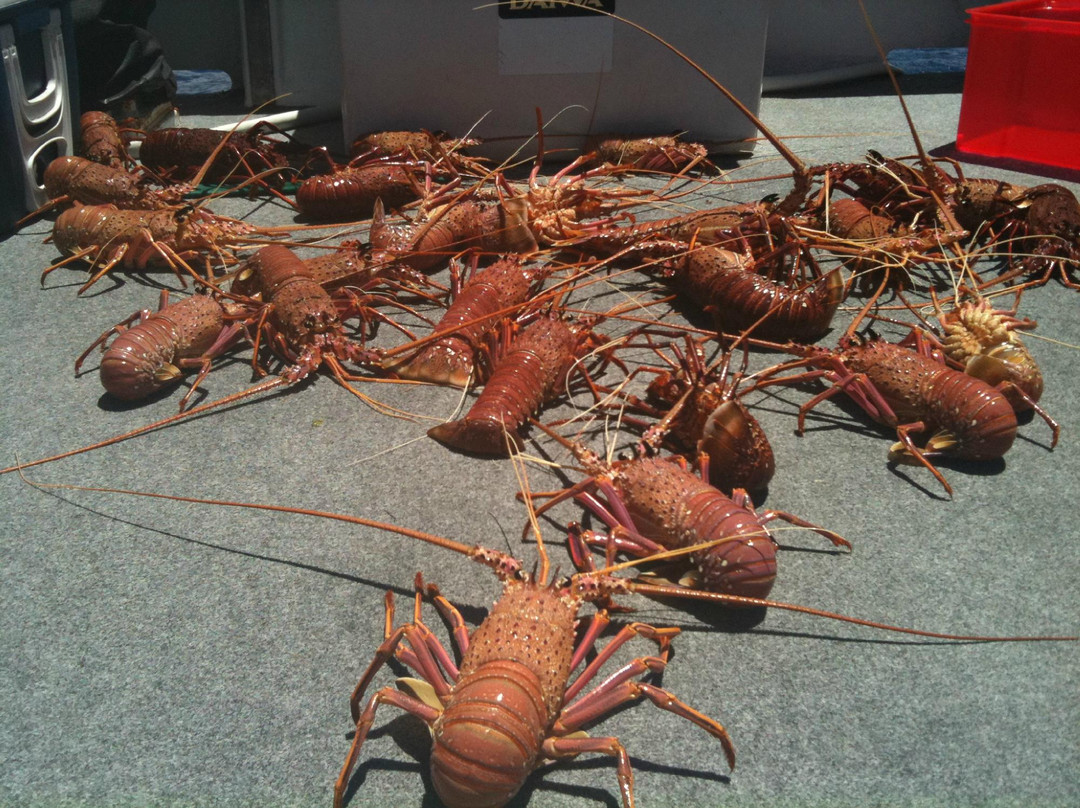 Saltwater Charters WA-拉瑞斯必去景点