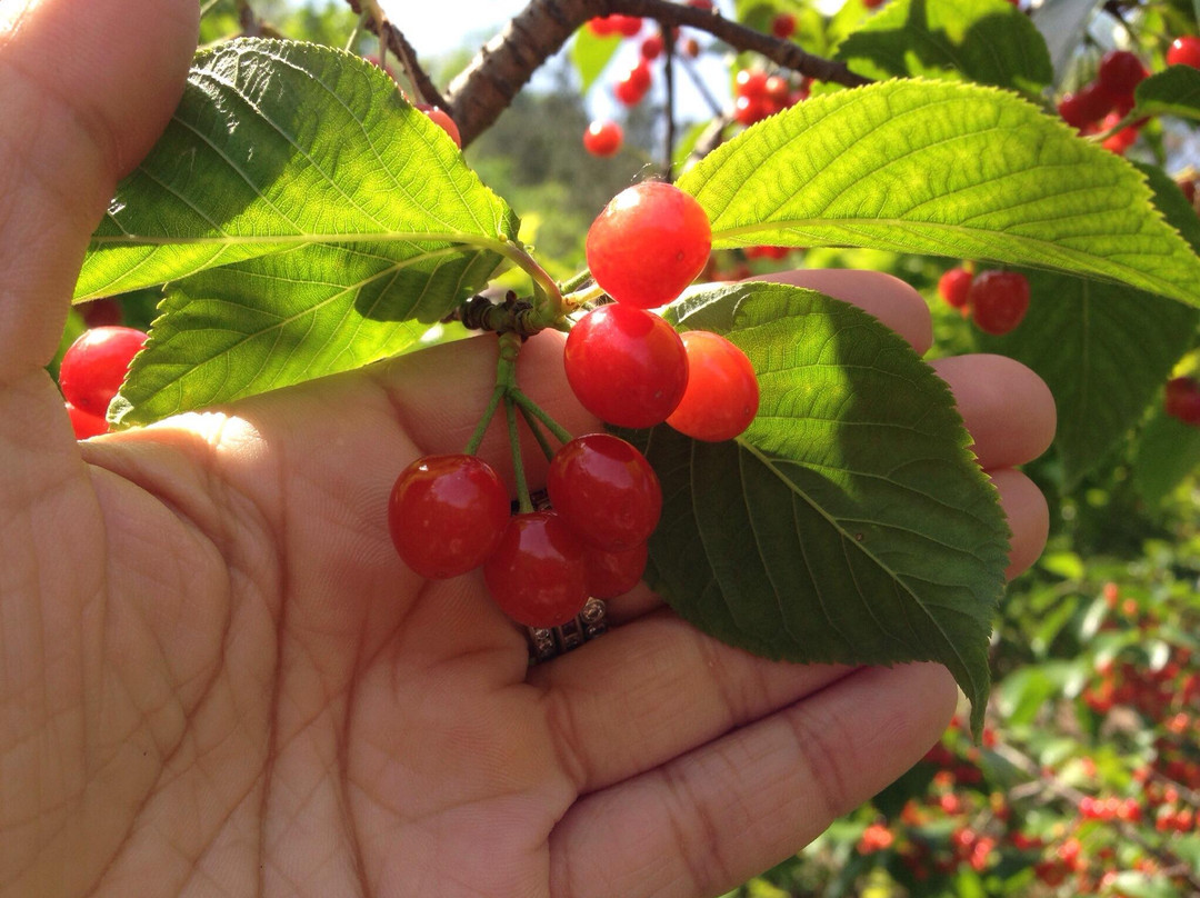 崂山自然风景区-青岛市必去景点