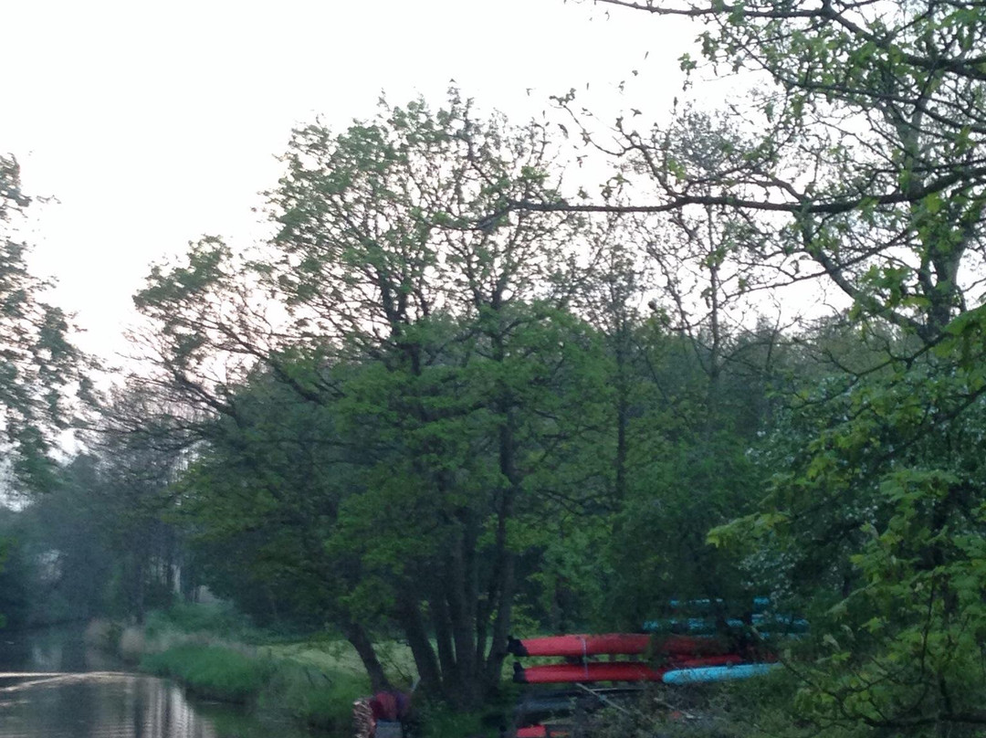De Salamander-Outdoor-Eenrum必去景点