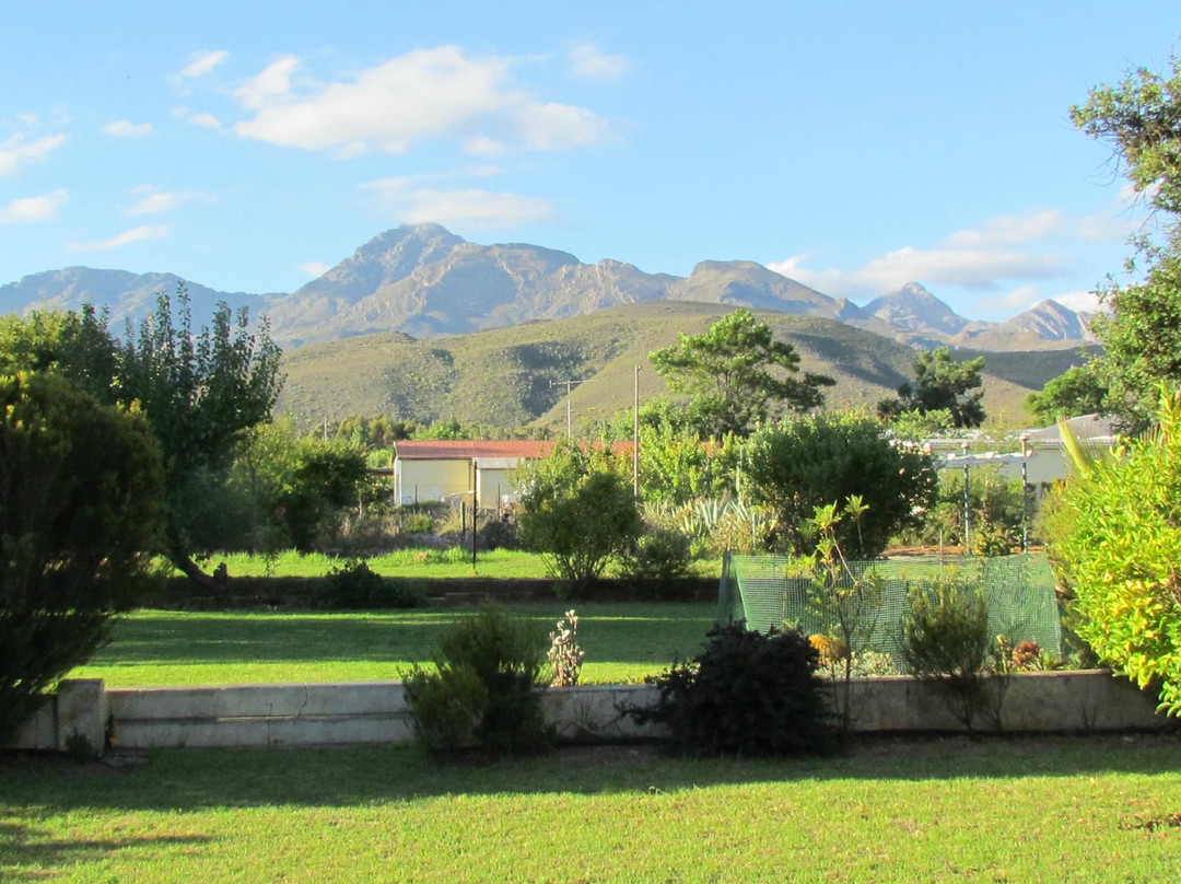 Albert Manor Guest House主图