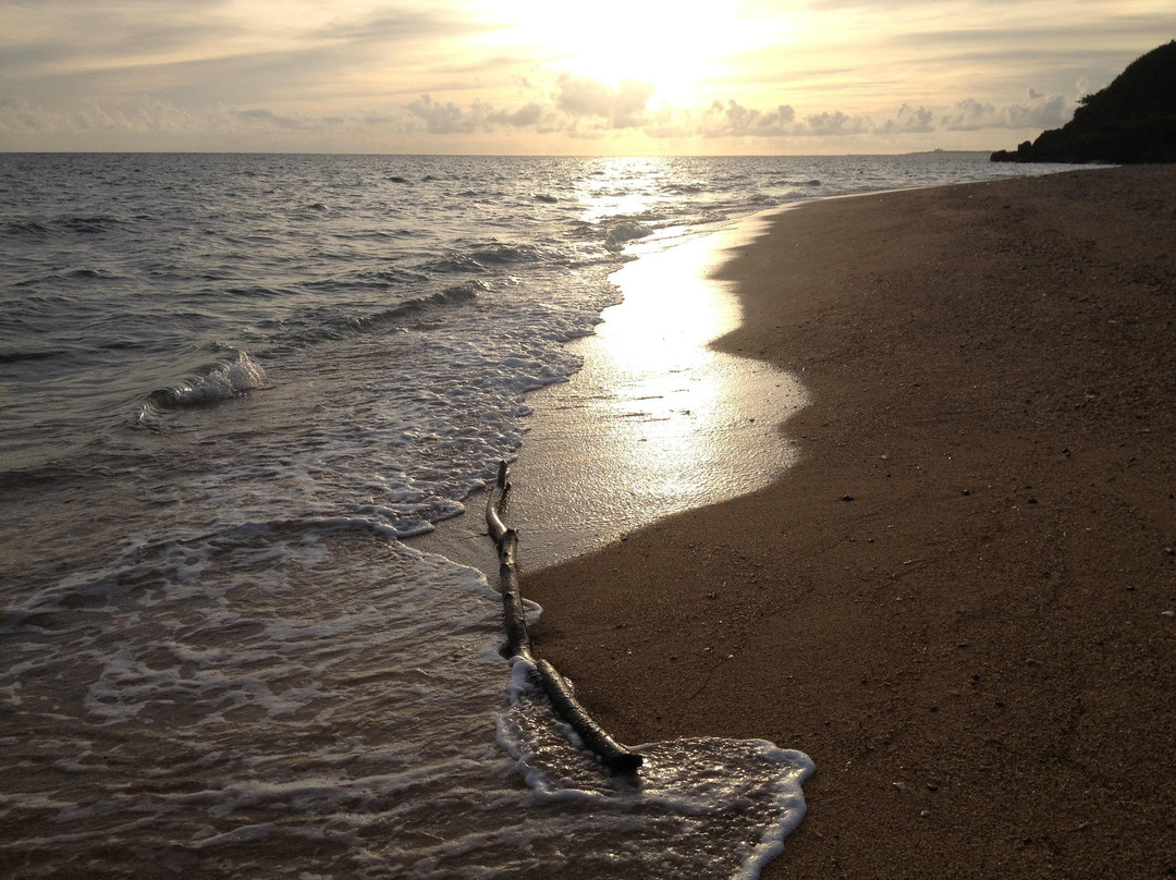 Ala Beach景点图片
