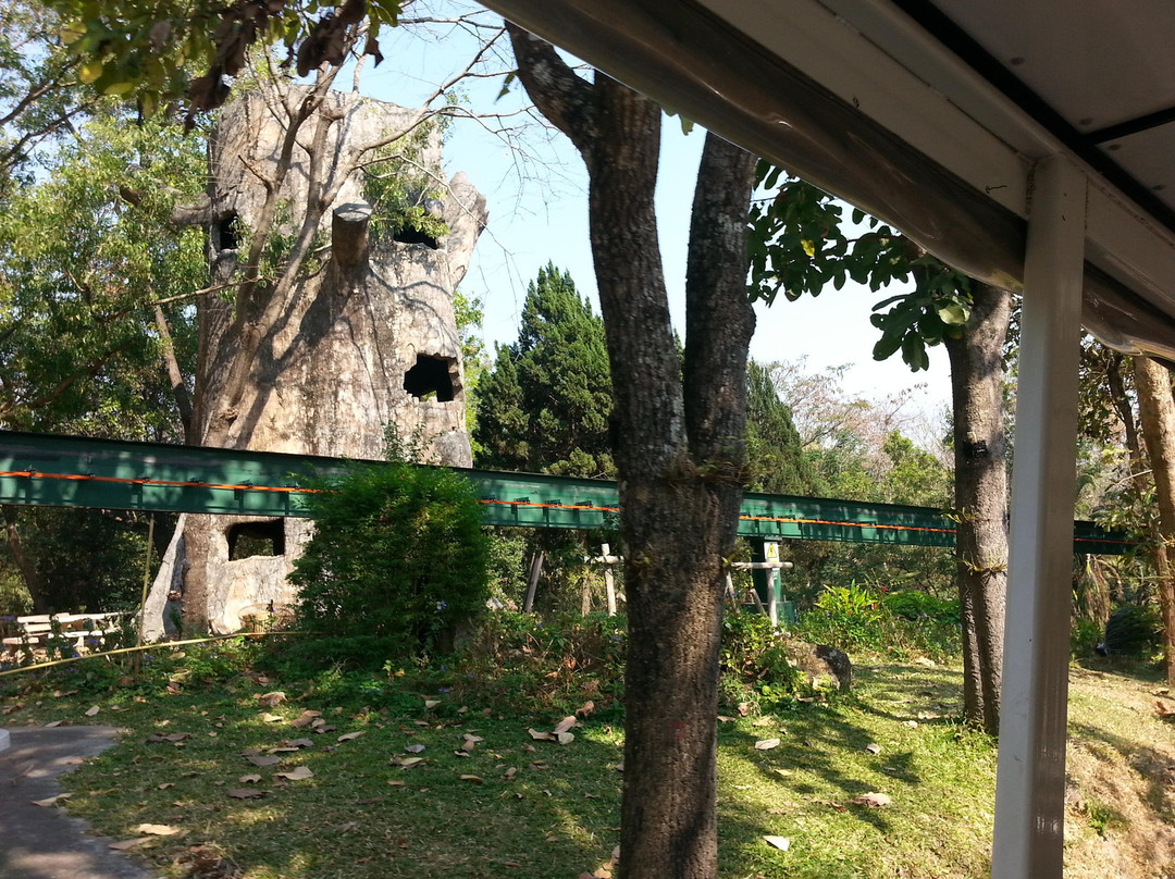 清迈动物园-清迈必去景点