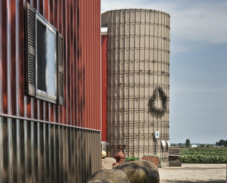 Evanston Cellars -  Wine Trail Tours-芝加哥必去景点