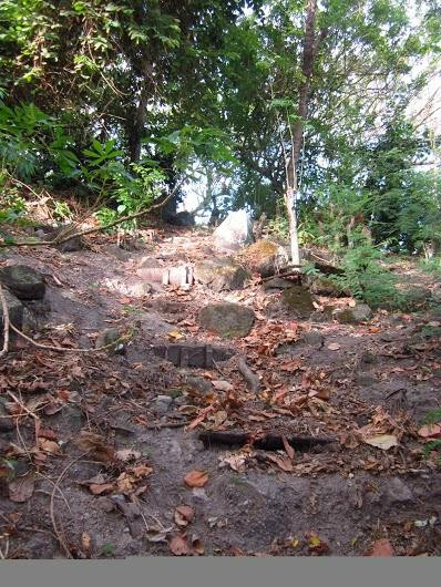 David's Trek-Apo Island必去景点