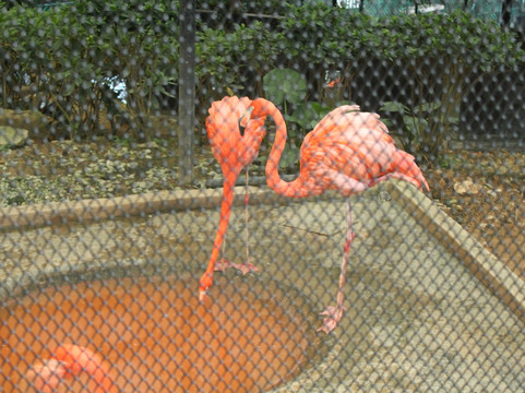 香港动植物公园-香港必去景点
