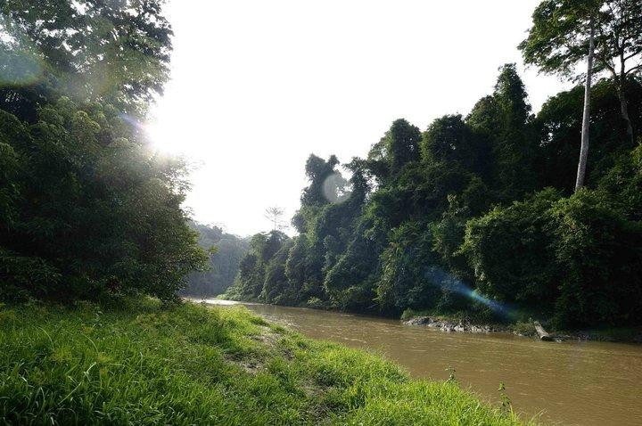 Earth Lodge Ulu Muda